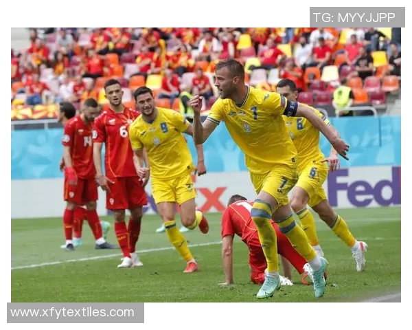 乌克兰足球球星名字背后的荣耀与绿茵场上拼搏故事