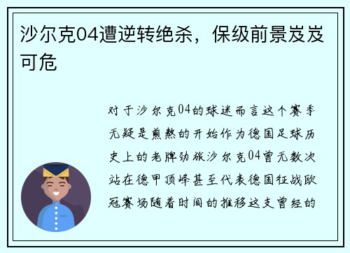 沙尔克04遭逆转绝杀，保级前景岌岌可危